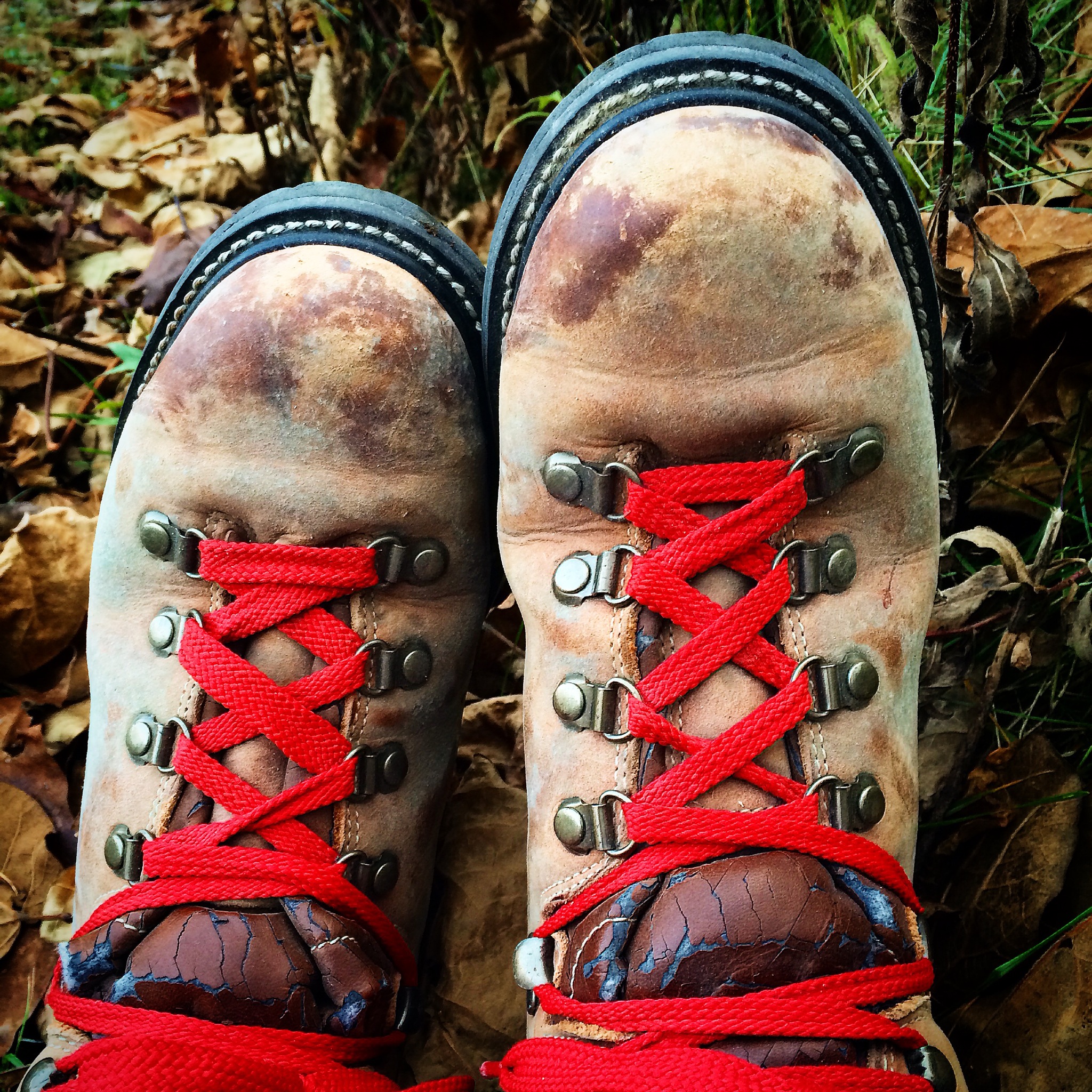 cheryl strayed boots